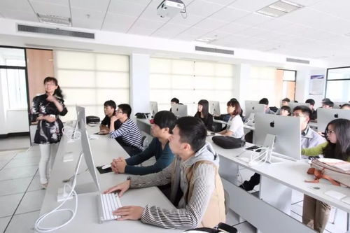 專業解讀 計算機類三大核心專業及其網絡技術服務應用